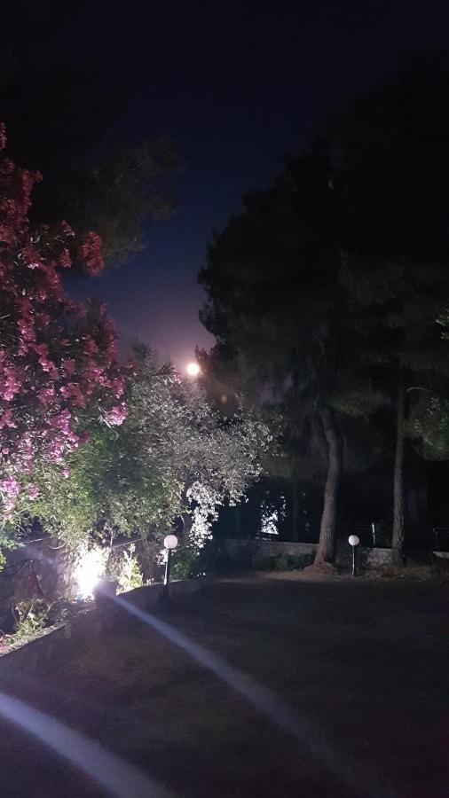 トロウロスPine Tree Houseアパートメント エクステリア 写真